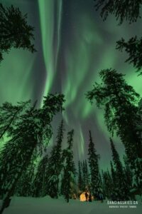 649189463 10243334426046204 178604801333220064 n