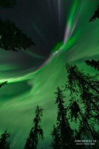 649197150 10243334425206183 7077361289927551296 n