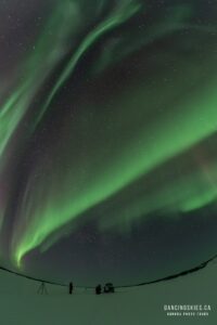 649247929 10243334426446214 2480140376491354184 n