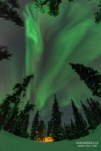 651900543 10243407119183487 3798377206137692931 n