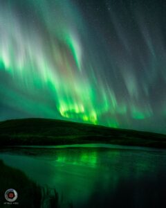 d244189b 2ee1 4f80 87de 70a8bddda988