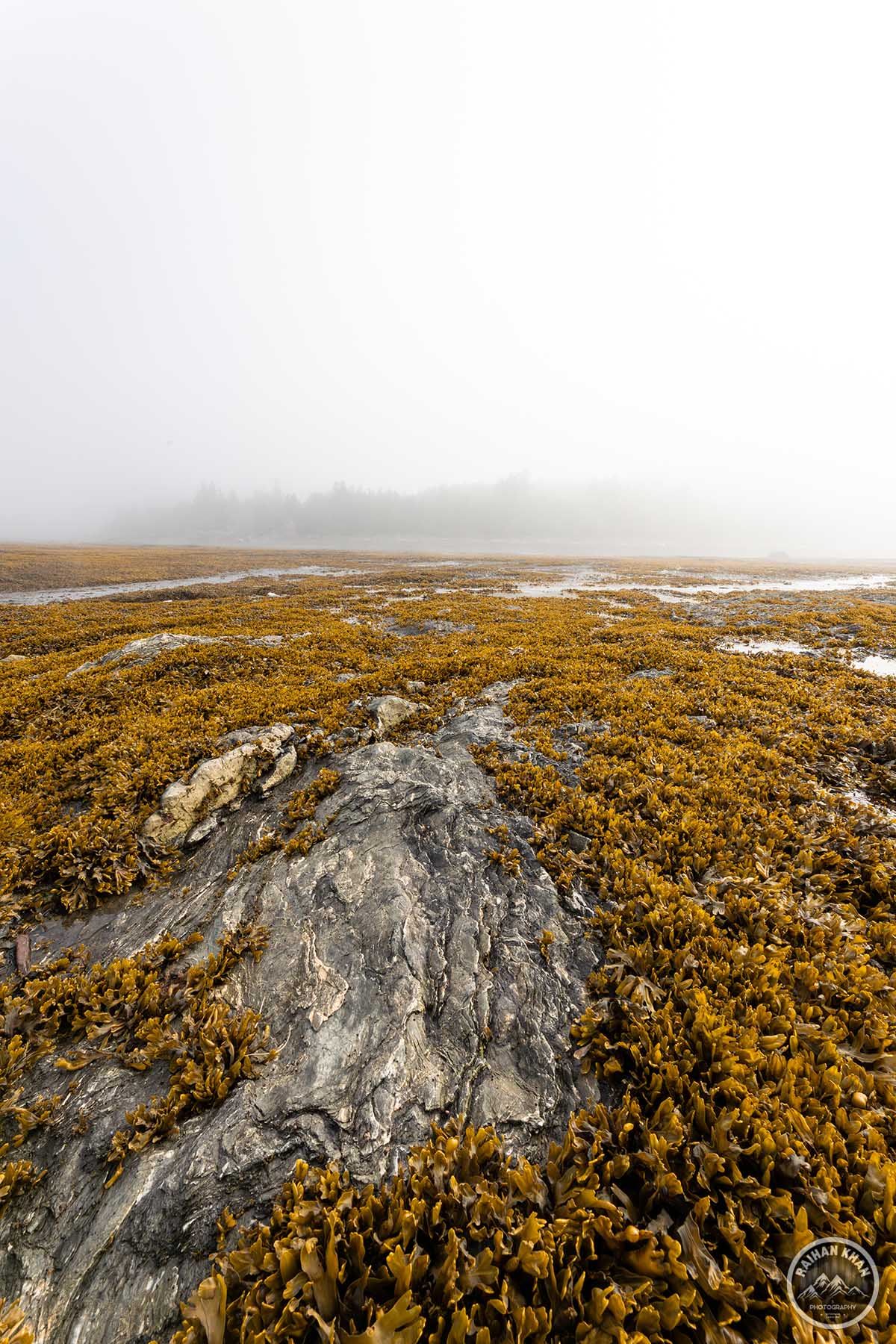 7c4a0500 enhanced nr